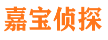 二道江市调查公司